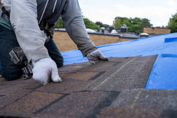 Best Metal Roofing Contractor  in Hartford City, IN
