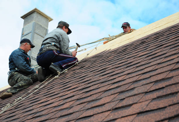 Best Roof Gutter Cleaning  in Hartford City, IN